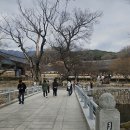 양산통도사 홍매화, 순매원 원동매화축제~우담바라와 공작새는 덤??뽀~~나스? 이미지