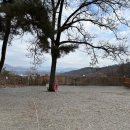 해멍달멍 이미지