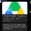 비포앤애프터 | 웨딩 촬영 | 웨딩 사진 사설 보정 업체 [WS디자인] 이용 후기(+비포앤애프터)
