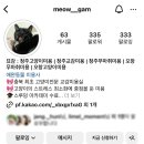 묘감 이미지