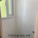 그린페인트 이미지