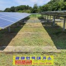 덕진 태양광발전소 이미지