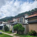 더숲852 이미지