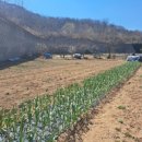 고모리부동산공인중개사사무소 이미지