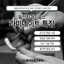 보람치과기공소 이미지
