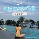 파르나스호텔제주델리 | 제주 파르나스 호텔 수영장 인피티니풀 대만족 후기와 이용방법