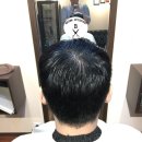 브라운시저스 이미지