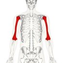 순천휘트니스 이미지