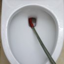 장항동,백석동 이미지