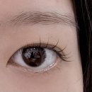 도봉-쌍문-도봉-1405 | 창동 속눈썹 <유니니크> 만족도 200% / 노원 쌍문 속눈썹 맛집 인형 속눈썹