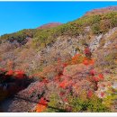 강천산군립공원 이미지