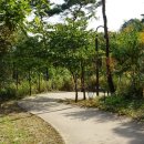 수성동 근린공원 이미지