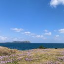 봉성소락 민박 이미지