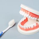 365이강치과의원 이미지