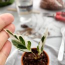 흥농종묘대리점 이미지