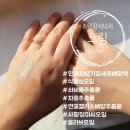 보석팜 네이버블로그