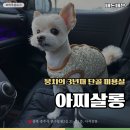 아찌살롱 이미지