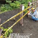 제주 수월봉 화산쇄설층 이미지