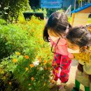 동영유치원 이미지