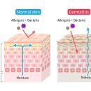 차한의원 이미지