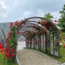 산골펜션 이미지