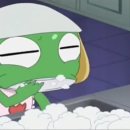 호랑이 초밥 이미지