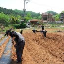 종환농장 이미지