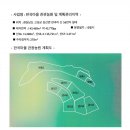 에버그린관광농원