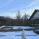 동횡성 현대서비스 | 아기랑 국립횡성숲체원 1월 방문기,놀거리,통나무집,눈썰매,숙소선택팁