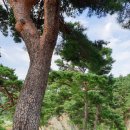 행곡4리(주천대) 이미지