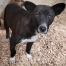 마월1리마을회관 이미지