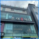 호야애견 이미지