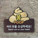 코끼리카센타 | 2026年 4月 :: 하.. 리한나씨, 보리밥 정식은 수육 리필이 안 되신다구요