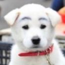 (주)팜스코리아국제여행사 | Day 4 _ Honeymoon 🍯 (Hawaii)