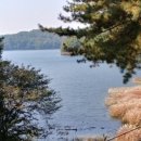 청남대 두메촌 이미지