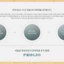 평택용이푸르지오 앞 이미지