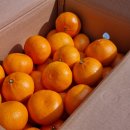 형제청과 이미지