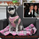 양지동물병원 이미지