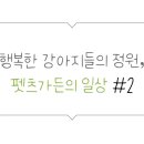 펫츠가든 이미지