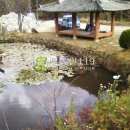 노아민박 이미지