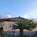 명월성 돌담집 | 제주 느낌 낭낭한 협재 &amp; 한림 감성숙소 &#34;명월성돌담집&#34;