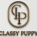 퍼피라이프 이미지