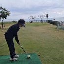 스포츠파크 파크골프장 | 오키나와 바다 옆 Kin Taamu 파크골프장 직접 다녀온 후기 🌊⛳