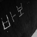 stay(스태이) 이미지