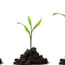 누가한방병원 이미지