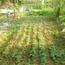 청계리농장 이미지