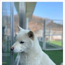 아이조아요양호텔 이미지