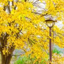 옥룡사지 이미지