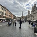 돌고래분수광장 | 로마 시내 관광 필수 코스 나보나 광장(Piazza Navona) 방문 후기 및 추천