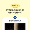 블루펫